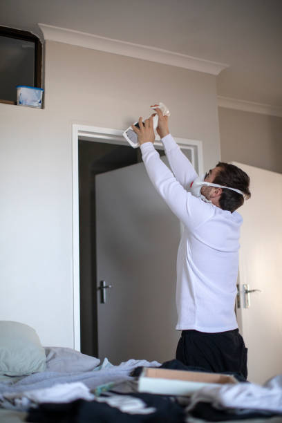 Best Attic Mold Removal  in Ardmore, AL