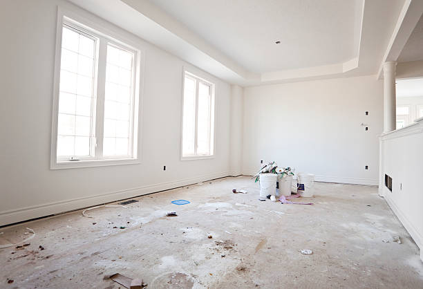 Best Black Mold Removal  in Ardmore, AL