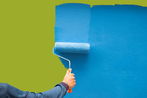 Ardmore, AL Mold Removal Company